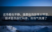 这场看似平静，雄鹿临场异常太明显，技术官员连忙叫停，现场气氛爆了