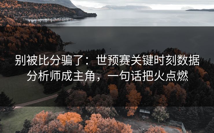 别被比分骗了:世预赛关键时刻数据分析师成主角,一句话把火点燃 第1张 别被比分骗了:世预赛关键时刻数据分析师成主角,一句话把火点燃 第1张